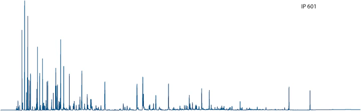 DHA Chromatogram
